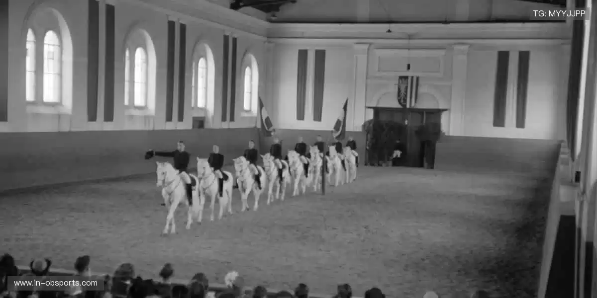 🔥一键直达全球赛事，你的热血主场永不缺席！🏆